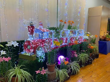 とっとり花回廊に投稿された画像（2024/11/16）