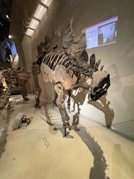 国立科学博物館に投稿された画像（2024/11/16）