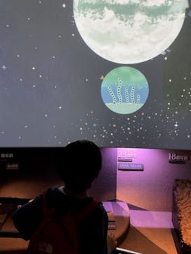 国立科学博物館に投稿された画像（2024/11/16）