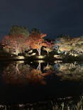 国営昭和記念公園 秋の夜散歩に投稿された画像（2024/11/16）