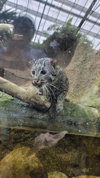 神戸どうぶつ王国に投稿された画像（2024/11/16）