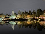 国営昭和記念公園 秋の夜散歩に投稿された画像（2024/11/16）
