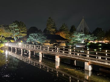 国営昭和記念公園 秋の夜散歩に投稿された画像（2024/11/16）