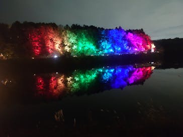 ムーミンバレーパークに投稿された画像（2024/11/16）