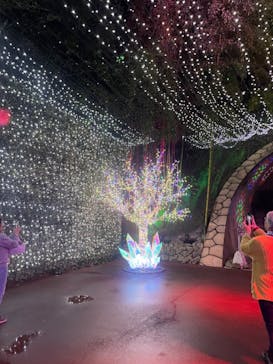 NESTA RESORT KOBE（ネスタリゾート神戸）に投稿された画像（2024/11/16）