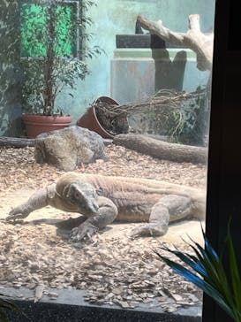 名古屋市東山動植物園に投稿された画像（2024/11/16）