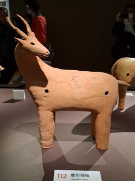 挂甲の武人 国宝指定50周年記念 特別展「はにわ」@東京国立博物館 平成館に投稿された画像（2024/11/16）