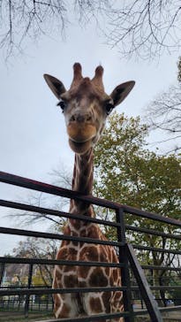 宇都宮動物園に投稿された画像（2024/11/16）