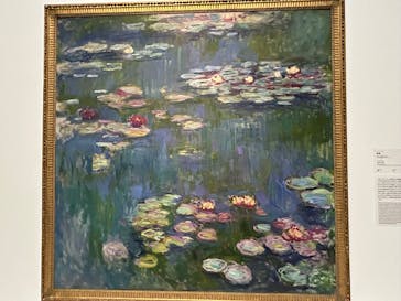 モネ 睡蓮のとき（国立西洋美術館）に投稿された画像（2024/11/16）