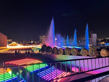 東京メガイルミに投稿された画像（2024/11/16）