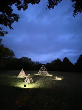 国営昭和記念公園 秋の夜散歩に投稿された画像（2024/11/16）