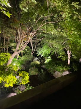 国営昭和記念公園 秋の夜散歩に投稿された画像（2024/11/16）