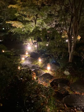 国営昭和記念公園 秋の夜散歩に投稿された画像（2024/11/16）