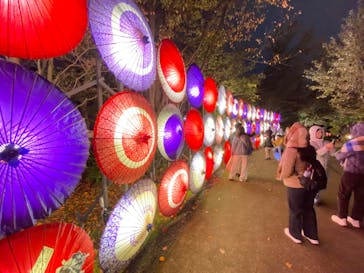 国営昭和記念公園 秋の夜散歩に投稿された画像（2024/11/16）