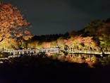 国営昭和記念公園 秋の夜散歩に投稿された画像（2024/11/17）