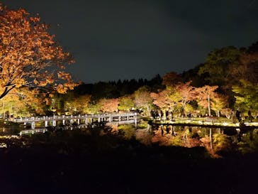 国営昭和記念公園 秋の夜散歩に投稿された画像（2024/11/16）