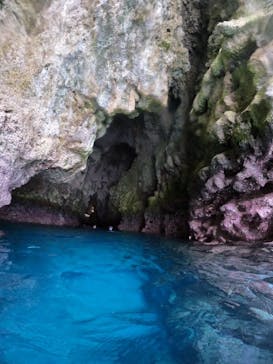 武藤潜水に投稿された画像（2024/11/16）