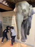 名古屋市東山動植物園に投稿された画像（2024/11/17）