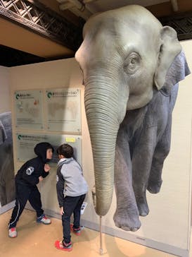 名古屋市東山動植物園に投稿された画像（2024/11/16）