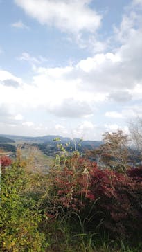 いばらきフラワーパークに投稿された画像（2024/11/16）