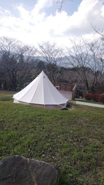 いばらきフラワーパークに投稿された画像（2024/11/16）