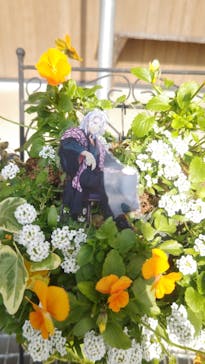 いばらきフラワーパークに投稿された画像（2024/11/16）