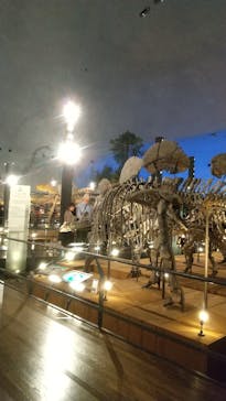 福井県立恐竜博物館に投稿された画像（2024/11/16）