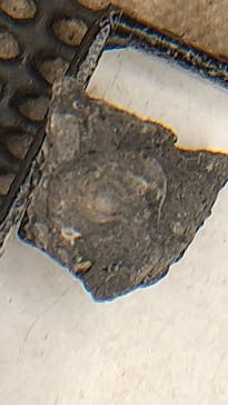 福井県立恐竜博物館に投稿された画像（2024/11/16）