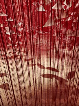 塩田千春　つながる私（アイ）　@大阪中之島美術館に投稿された画像（2024/11/16）