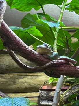 体感型動物園iZooに投稿された画像（2024/11/16）