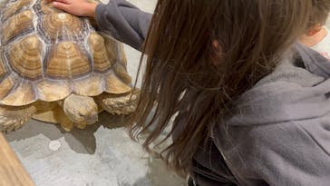 Moff animal cafe イオンモール新利府店に投稿された画像（2024/11/16）