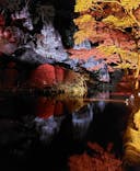 NAKED夜さんぽ™ 石川・那谷寺に投稿された画像（2024/11/17）