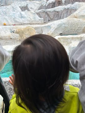 恩賜上野動物園に投稿された画像（2024/11/16）