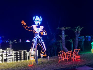 鹿児島イルミナージュに投稿された画像（2024/11/16）