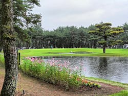 2024 ダンロップフェニックストーナメントに投稿された画像（2024/11/17）
