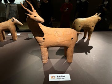 挂甲の武人 国宝指定50周年記念 特別展「はにわ」@東京国立博物館 平成館に投稿された画像（2024/11/17）