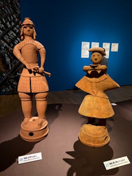 挂甲の武人 国宝指定50周年記念 特別展「はにわ」@東京国立博物館 平成館に投稿された画像（2024/11/17）