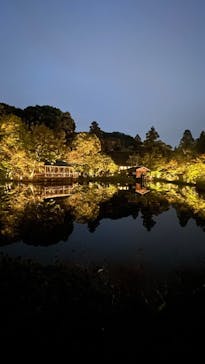 名古屋市東山動植物園に投稿された画像（2024/11/17）