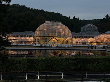 名古屋市東山動植物園に投稿された画像（2024/11/17）