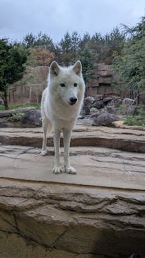 那須どうぶつ王国に投稿された画像（2024/11/17）