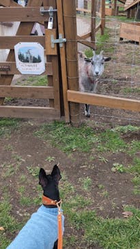 那須どうぶつ王国に投稿された画像（2024/11/17）