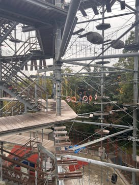 万博BEAST（ビースト）に投稿された画像（2024/11/17）