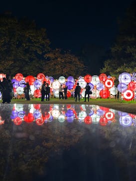 国営昭和記念公園 秋の夜散歩に投稿された画像（2024/11/17）
