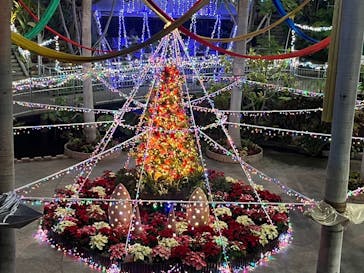 とっとり花回廊に投稿された画像（2024/11/17）