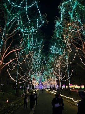 とっとり花回廊に投稿された画像（2024/11/17）