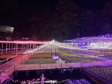 とっとり花回廊に投稿された画像（2024/11/17）