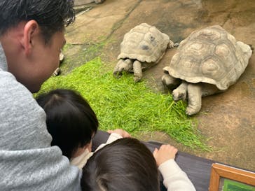 アソビュー！ポイントに投稿された画像（2024/11/17）