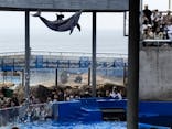大分マリーンパレス水族館 「うみたまご」に投稿された画像（2024/11/17）