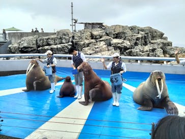大分マリーンパレス水族館 「うみたまご」に投稿された画像（2024/11/17）