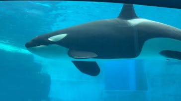 名古屋港水族館に投稿された画像（2024/11/17）